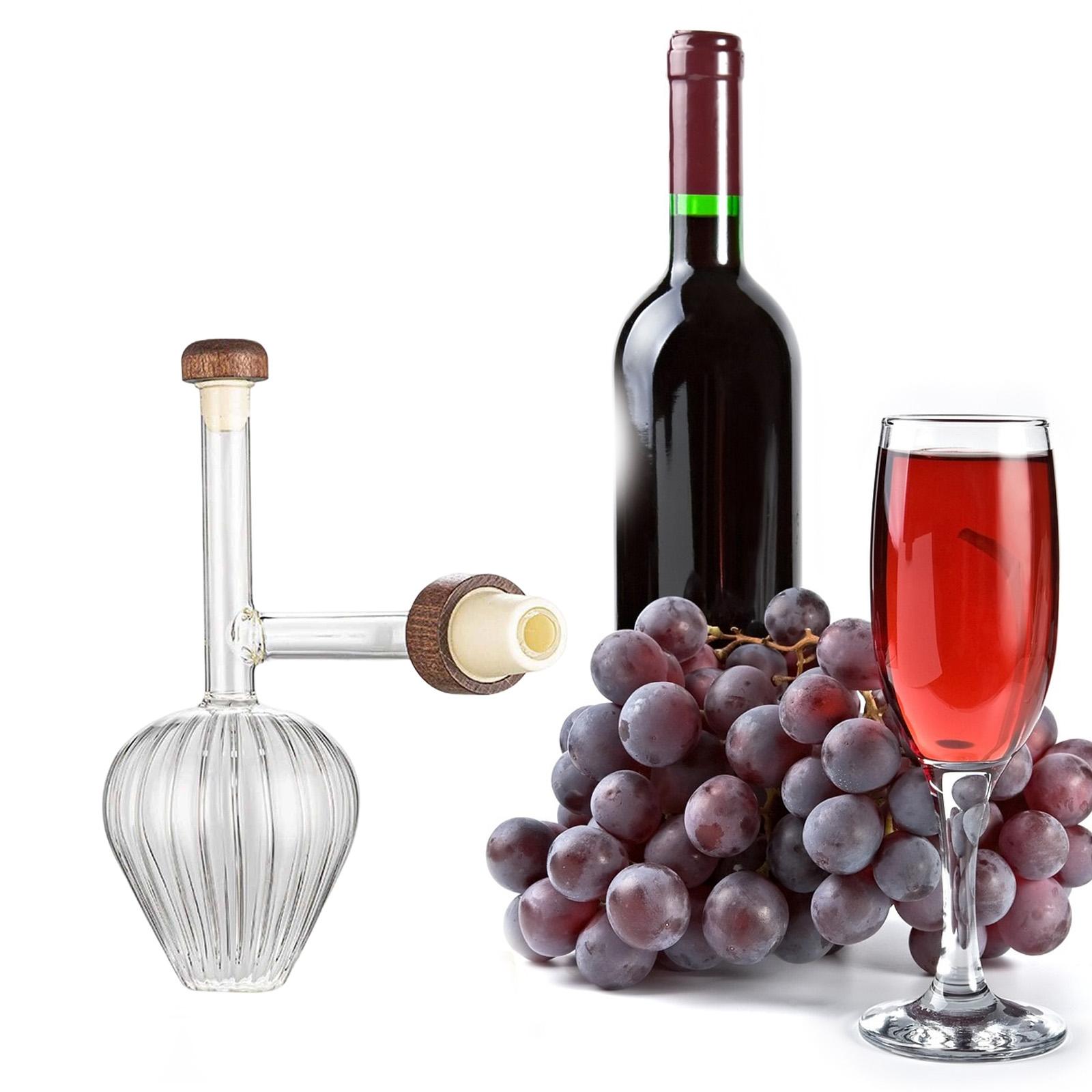 Set Dekanter Portabel Botol Ae - Decanter Aerator Set ulasan dan harga